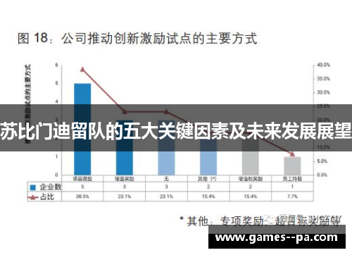苏比门迪留队的五大关键因素及未来发展展望