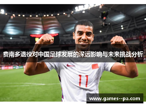 费南多退役对中国足球发展的深远影响与未来挑战分析