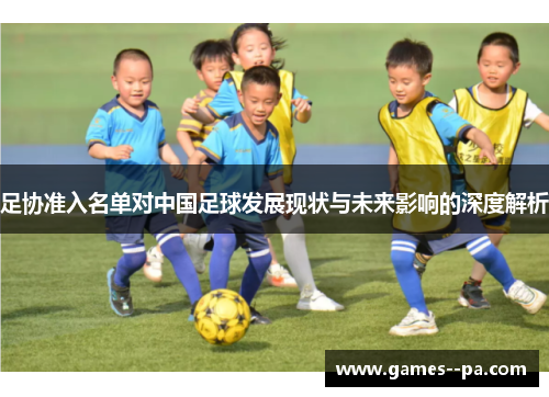 足协准入名单对中国足球发展现状与未来影响的深度解析