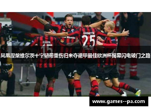 凤凰涅槃维尔茨十字韧带重伤归来夺德甲最佳欧洲杯揭幕闪电破门之路